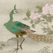 Yasunobu Kano Gallery